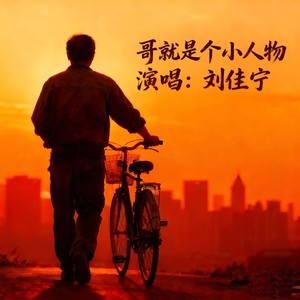 哥就是个小人物