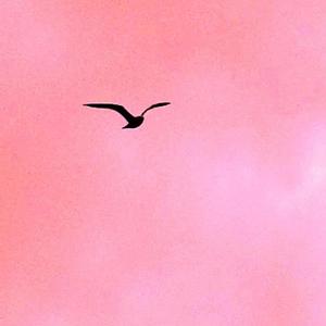 Night(feat. Khaleo & 4twnty) (Explicit)