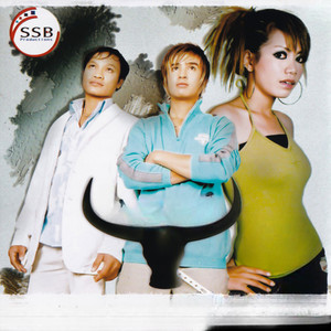 សំបកស្នេហ៍