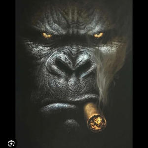 DreamTeam (feat. Fre$h) (Explicit)