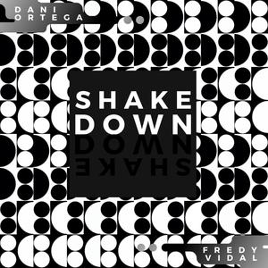 Shake Down (feat. FredyVidal)