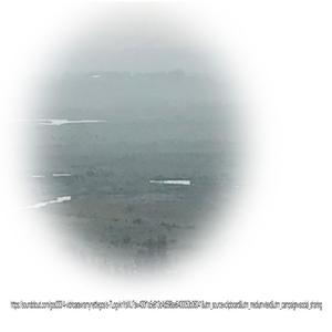 ps (h) y (feat. arawra, vidrio & my nettle) (Explicit)