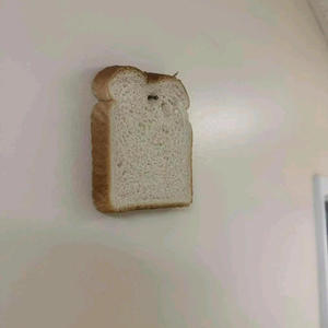 The word (downloaded beat)