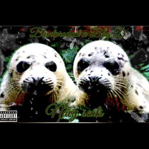 Navy Seals (feat. BBG D) [Explicit]