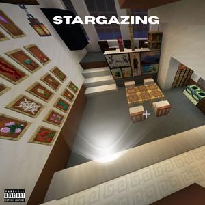 Stargazing (feat. Niaya) (Explicit)