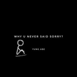 Why you never said sorry (Explicit)