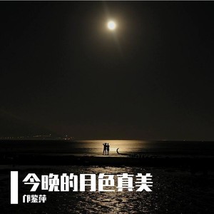 今晚的月色真美