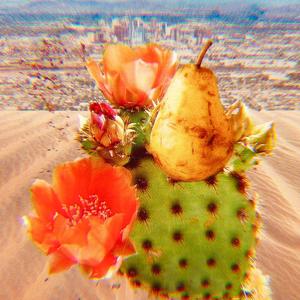 Desert Pear (feat. Res Lauren) (Explicit)