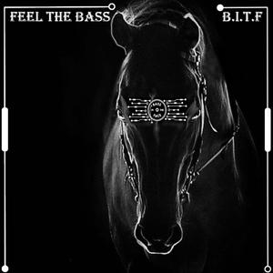 Feel The Bass