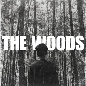 The Woods