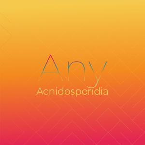 Any Acnidosporidia