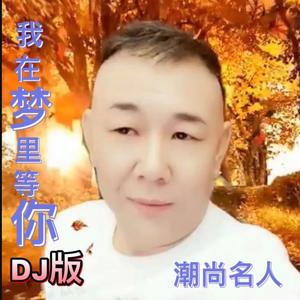 我在梦里等你