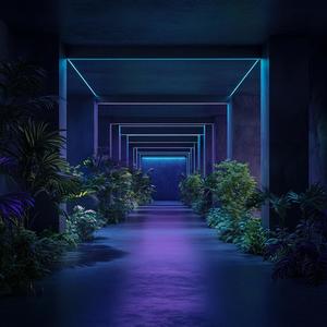 FOREST ECHOES (feat. AAETHAM)