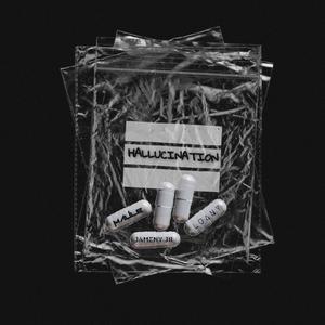 Hallucination (feat. MAULE & LUANY)