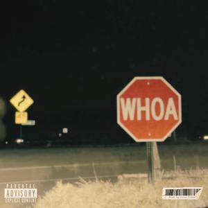 STFD (feat. Heyzeus) (Explicit)