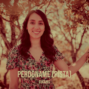 Perdóname (Pista)