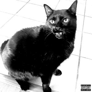 I MISS MY CAT (Explicit)