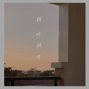 왜 이제야 (Why now)