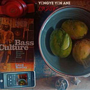 YƐNGYE YƐN ANI (ENJOY)