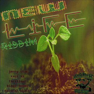 New Life Riddim