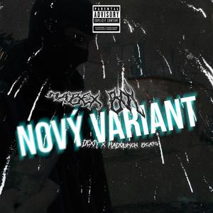 NOVY VARIANT (Explicit)