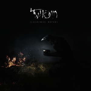 Modality of Cosmic Matter