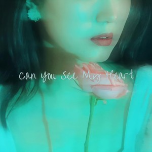 能看见我的心吗