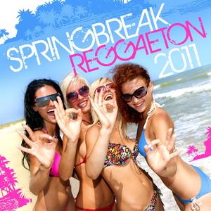 Springbreak Reggaeton 2011