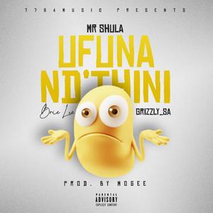 Ufuna Nd'thini (feat. Brie Lee & GRIZZLY_SA)
