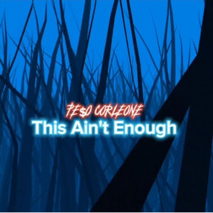 THIS AIN'T ENOUGH (Explicit)