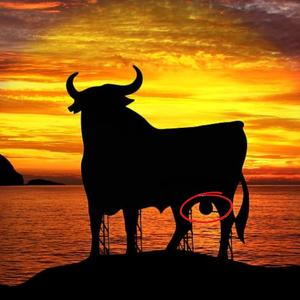 La MAQUINA DE ESPAÑA (Summer Verçion)