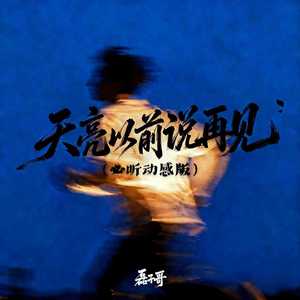 磊子哥 - 天亮以前说再见 (必听动感版)