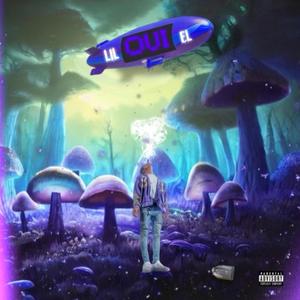 Oui (Explicit)