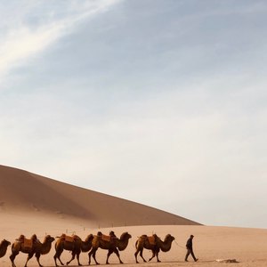 日落前回家 (Live)