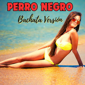 PERRO NEGRO - Bachata (Remix)