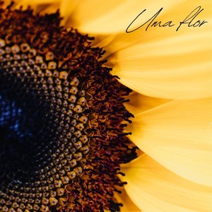 Beija-Flor (feat. Hilda Maria)