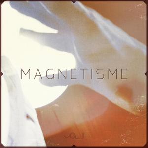 Magnetisme Deuxième Volume