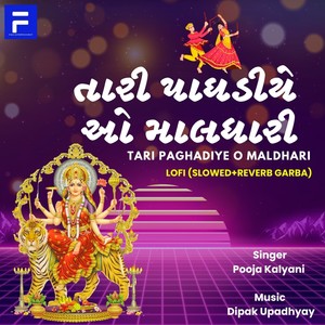 Tari Paghadiye O Maldhari (Lofi) (Lofi Version)