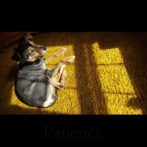 And So On, And So Forth