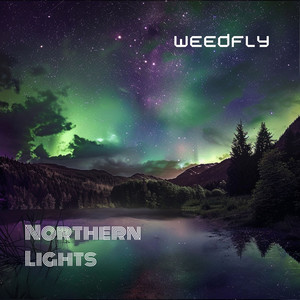 Northern Lights