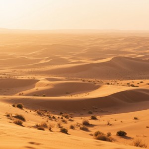 Tanah yang diperdagangkan (Remastered 2026)