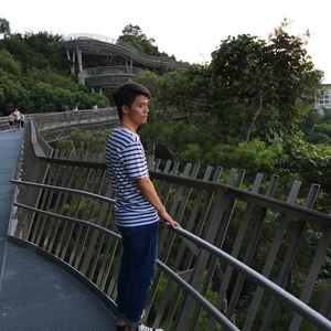 我最亲爱的姑娘