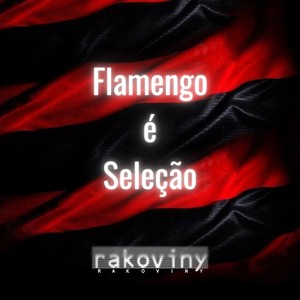 Flamengo é Seleção