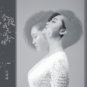 位婷婷 - 今夜我无法去入睡 (DJ版)