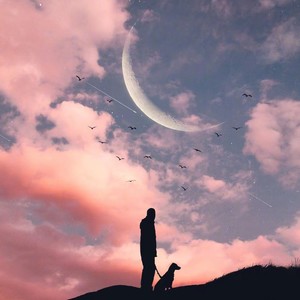 10点半的飞机场