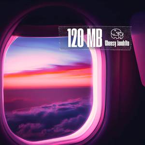 120 MB