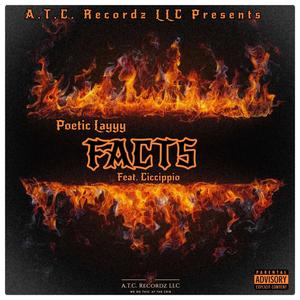 Facts (feat. Ciccippio) [Explicit]