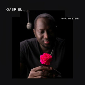 Hori Mi Steifi