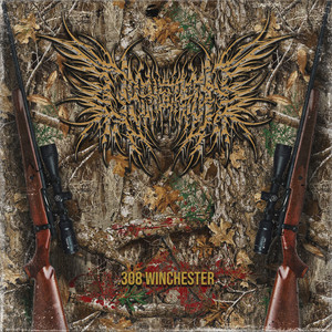 .308 Winchester (Explicit)