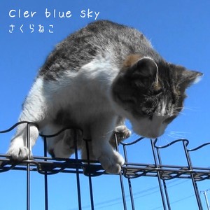 Clear blue sky